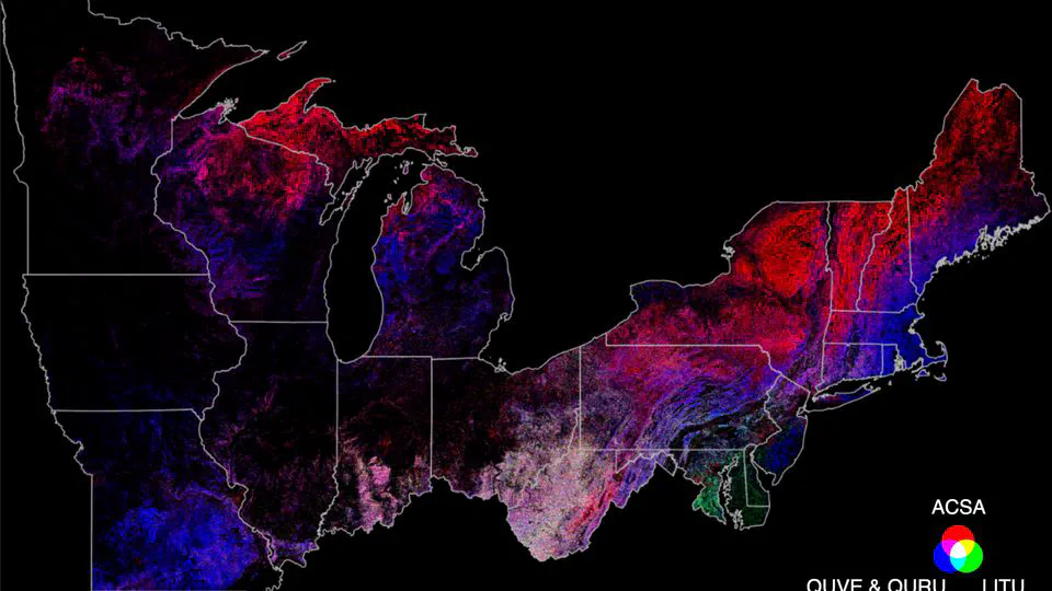 Mapping Forest Communities at 10-m Resolution Using Deep Learning