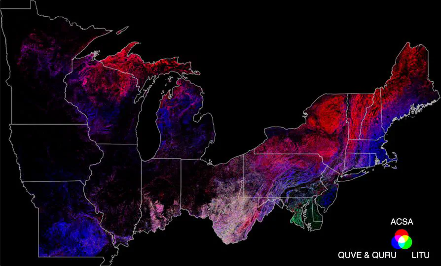 Mapping Forest Communities at 10-m Resolution Using Deep Learning
