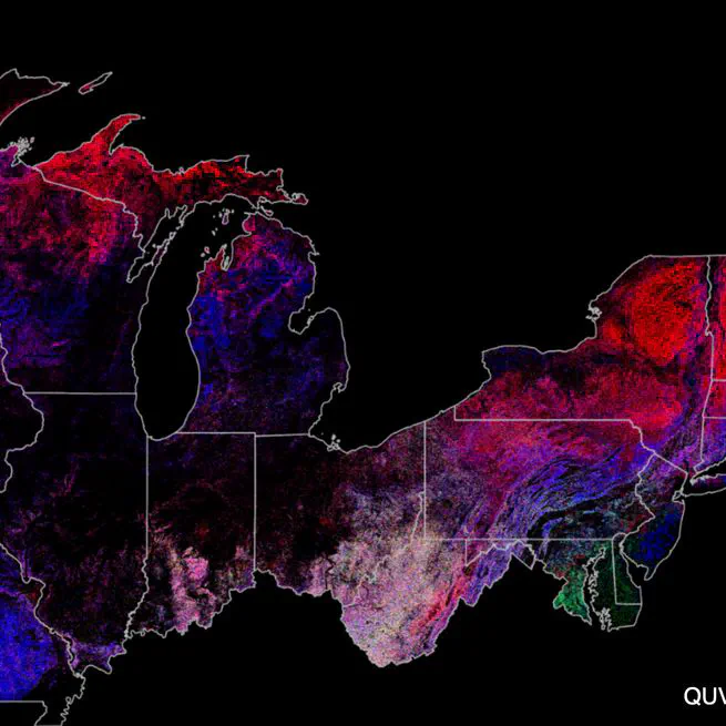 Mapping Forest Communities at 10-m Resolution Using Deep Learning