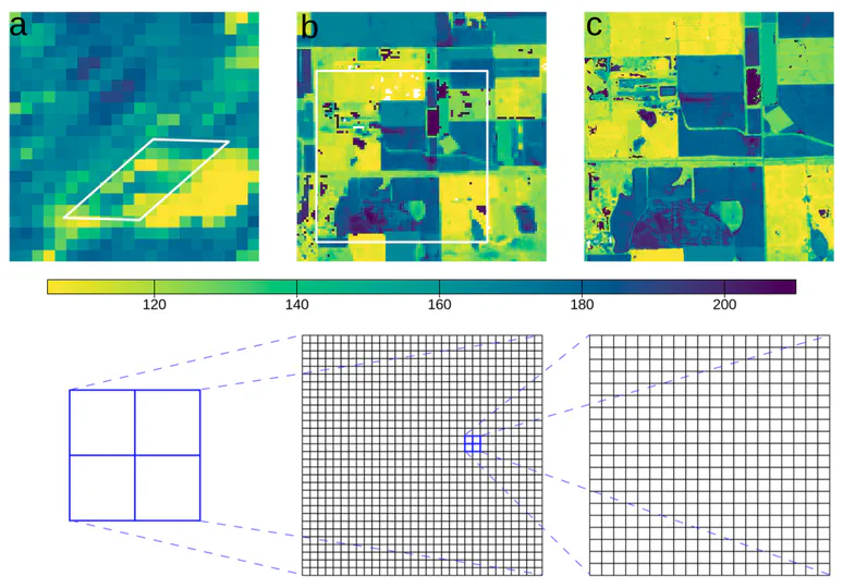 Multiscale Analysis of Land Surface Phenology