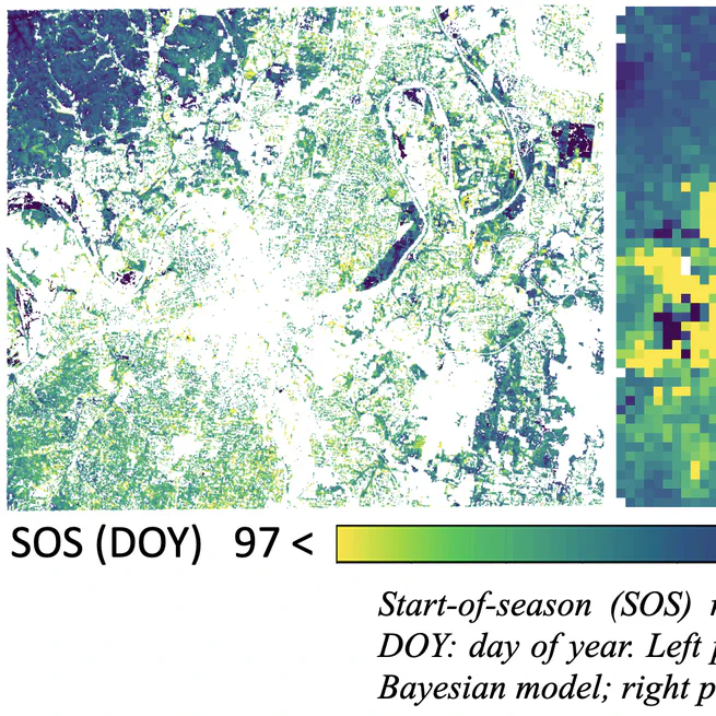 Does chilling explain the divergent response of spring phenology to urban heat islands?