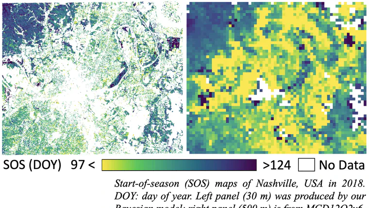 Does chilling explain the divergent response of spring phenology to urban heat islands?