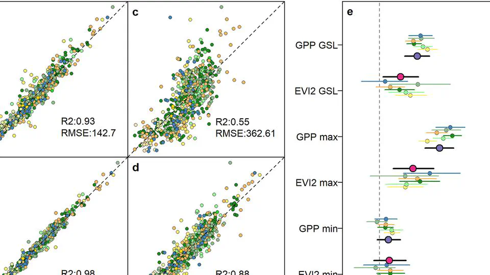 Observations of Satellite Land Surface Phenology Indicate That Maximum Leaf Greenness Is More Associated With Global Vegetation Productivity Than Growing Season Length