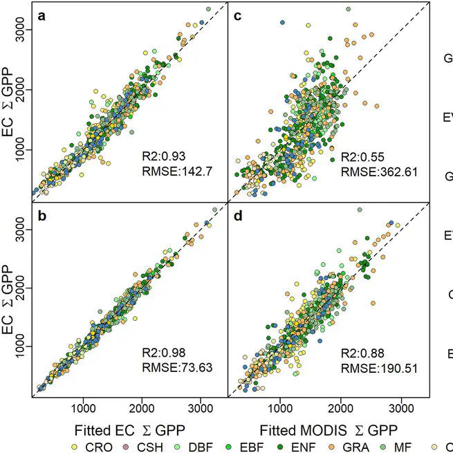 Observations of Satellite Land Surface Phenology Indicate That Maximum Leaf Greenness Is More Associated With Global Vegetation Productivity Than Growing Season Length