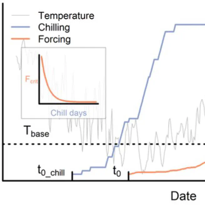 Thermal Forcing Versus Chilling? Misspecification of Temperature Controls in Spring Phenology Models