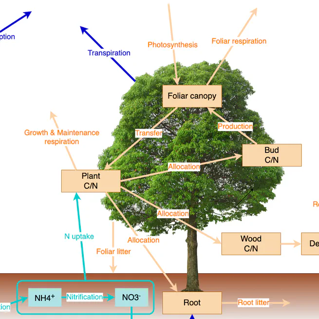 pnetr: An R package for the PnET family of forest ecosystem models