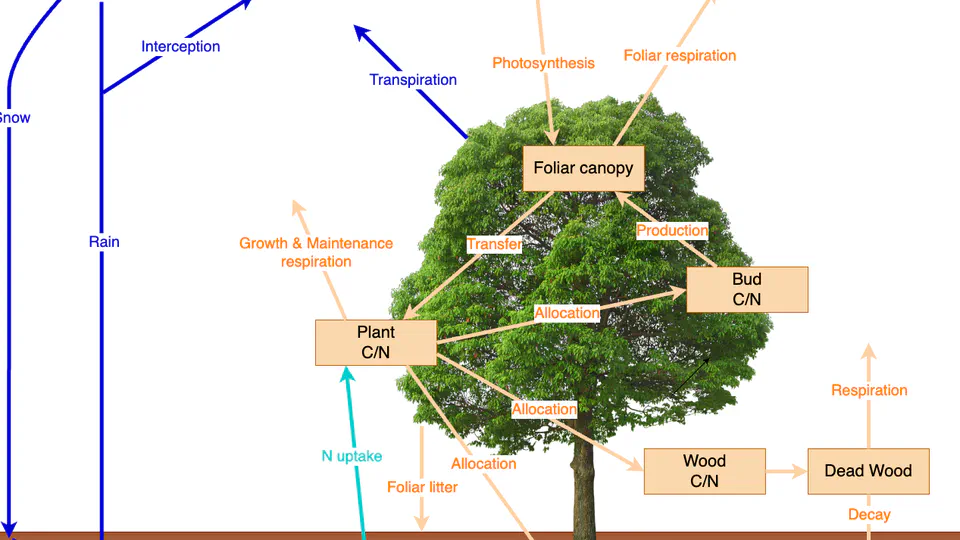 pnetr: An R package for the PnET family of forest ecosystem models