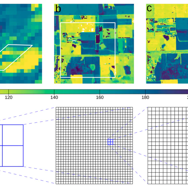 Multiscale Analysis of Land Surface Phenology